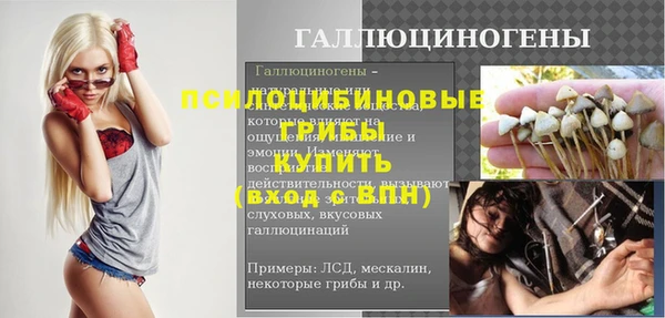 герыч Арсеньев