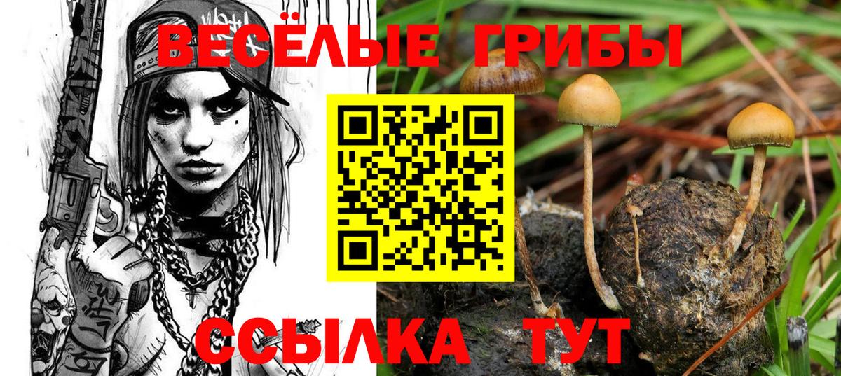 Псилоцибиновые грибы Psilocybe Фролово