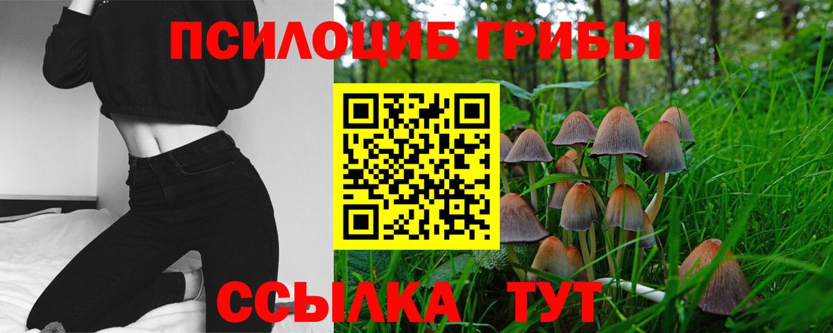 Фролово  Псилоцибиновые грибы мицелий  как найти   Вход с VPN 